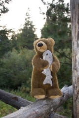 Edward Bear in the Bighorns